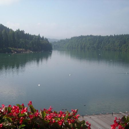 메드보데 Gostisce Jezero B&B 외부 사진